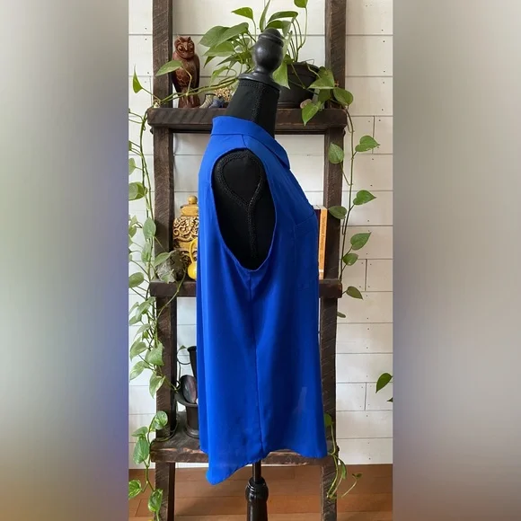 Apt 9: Elegant Royal Blue Button Down Shirt - Picture 16 of 17